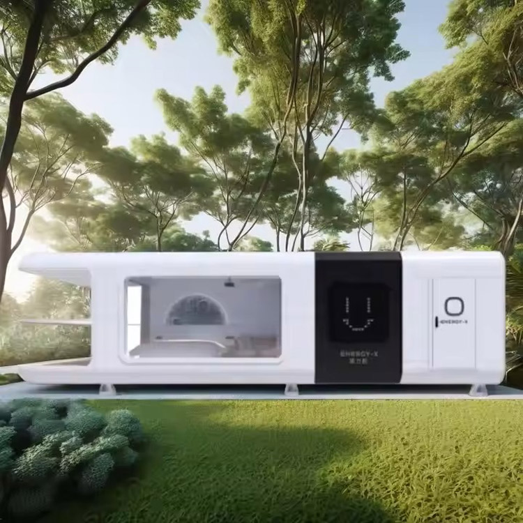 Spacious Pragmatic Family Home